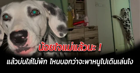 น้อยใจแม่แล้วนะ แล้วบ่นใส่ไม่พัก ไหนบอกว่าจะพาหนูไปเดินเล่นไง