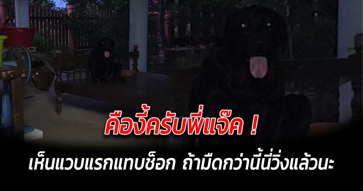 คืองี้ครับพี่แจ๊ค เห็นแวบแรกแทบช็อก ขนลุกเลย ถ้ามืดกว่านี้นี่วิ่งแล้วนะ