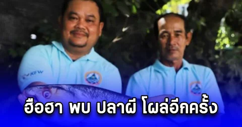 ฮือฮา พบ ปลาผี โผล่อีกครั้ง กลางลุ่มน้ำโขง ชาวบ้านอึ้ง หลังสูญพันธุ์มา 20 ปี