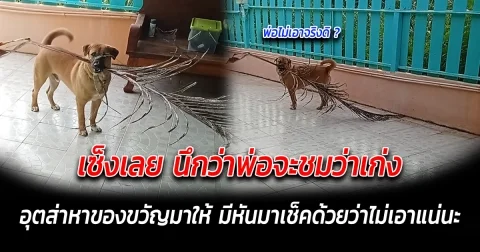 เซ็งเลย นึกว่าพ่อจะชมว่าเก่ง อุตส่าหาของขวัญมาให้ มีหันมาเช็คด้วยว่าไม่เอาแน่นะ