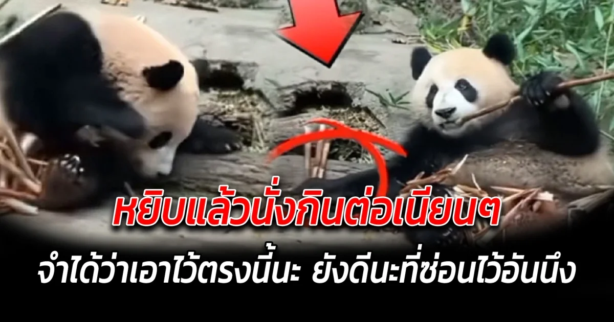 หยิบแล้วนั่งกินต่อเนียนๆ จำได้ว่าเอาไว้ตรงนี้นะ ยังดีนะที่ซ่อนไว้อันนึง