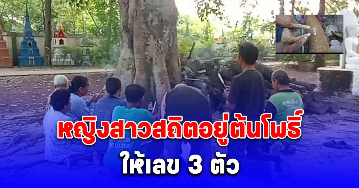 ชาวบ้านขอโชคร่างหญิงสาวสถิตอยู่ต้นโพธิ์ ได้เลขสวย