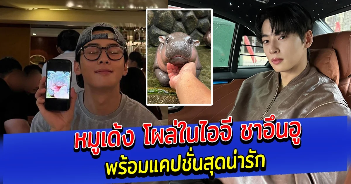 หมูเด้ง โผล่ในไอจี ชาอึนอู พร้อมแคปชั่นสุดน่ารัก