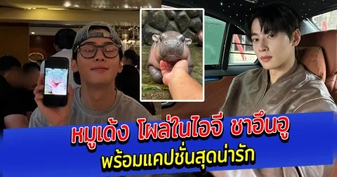 หมูเด้ง โผล่ในไอจี ชาอึนอู พร้อมแคปชั่นสุดน่ารัก
