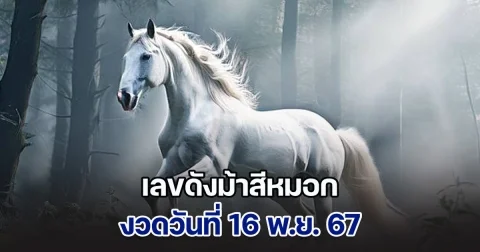 ควบมาไวมาก เลขดังม้าสีหมอก ประจำวันที่ 16 พ.ย. 67