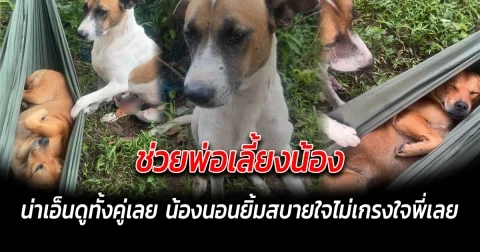 ช่วยพ่อเลี้ยงน้อง น่าเอ็นดูทั้งคู่เลย น้องนอนยิ้มสบายใจไม่เกรงใจพี่เลย