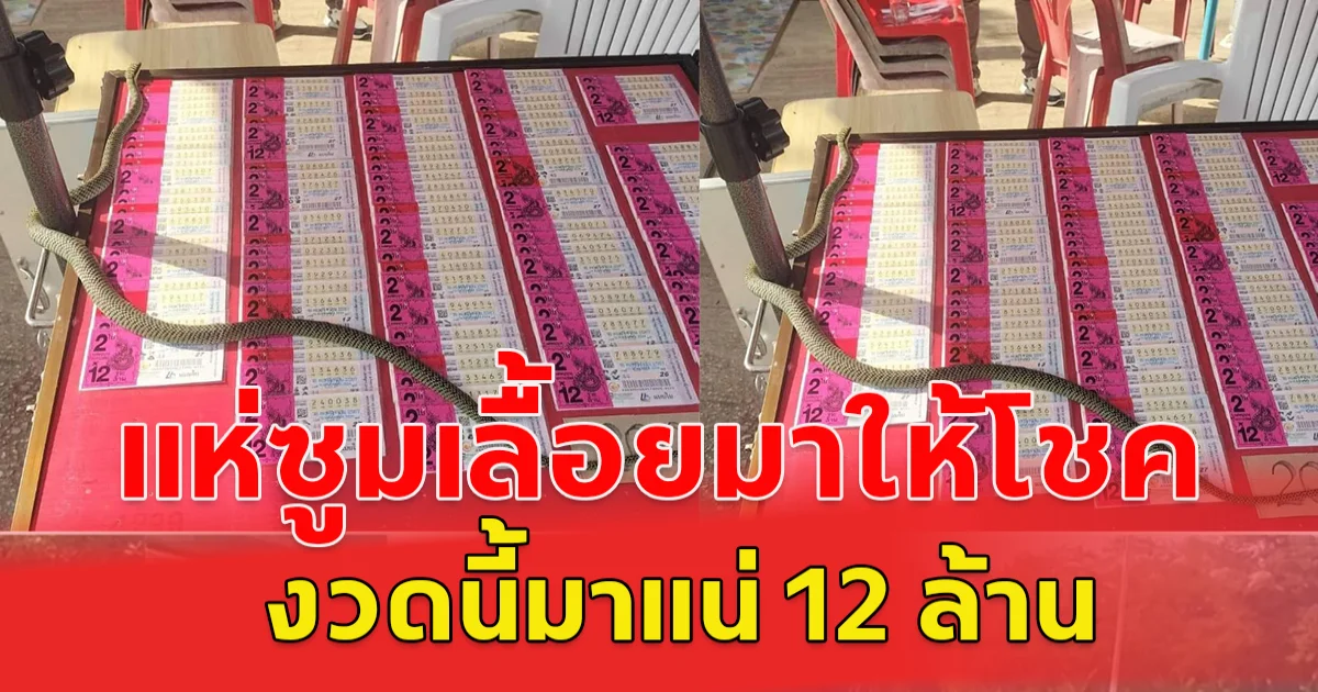 เลื้อยมาให้โชค เขียวพระอินทร์ เลื้อยขึ้นแผงสลากกินแบ่ง 1 พ.ย.67