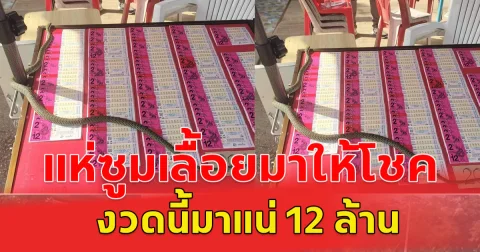 เลื้อยมาให้โชค เขียวพระอินทร์ เลื้อยขึ้นแผงสลากกินแบ่ง 1 พ.ย.67