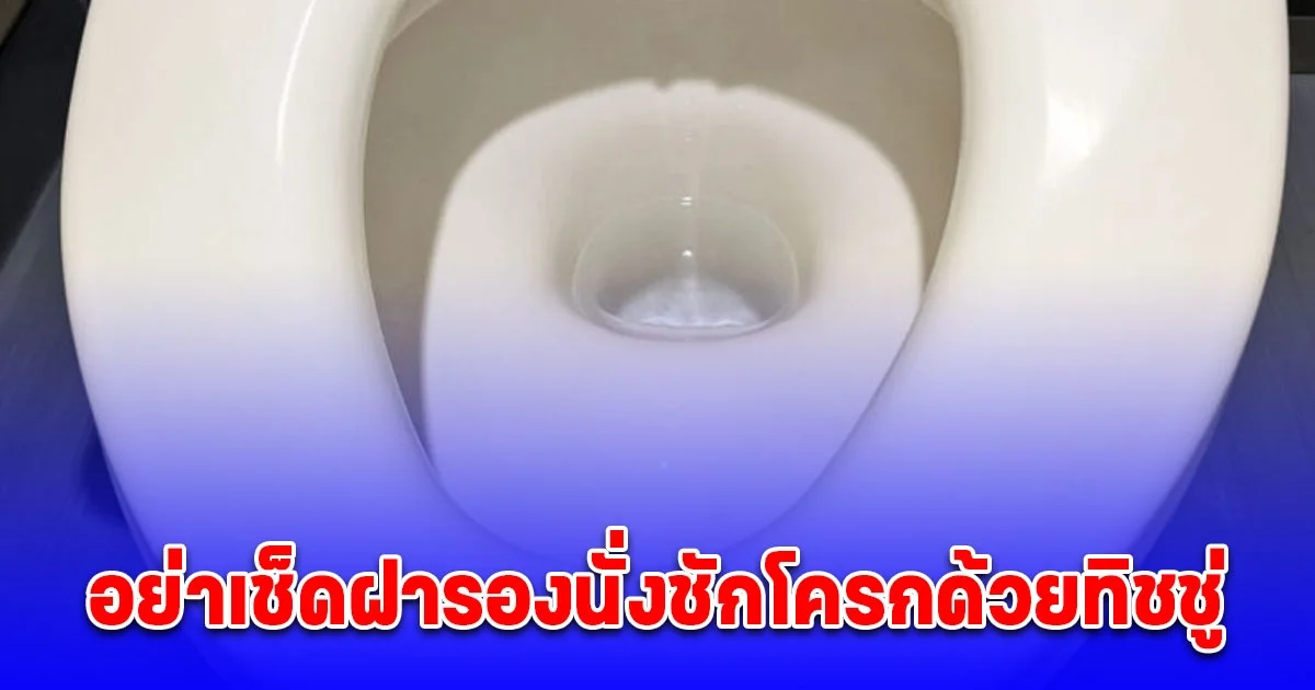 หลายคนทำกันอยู่ บริษัทดังมาบอกเอง อย่าเช็ดฝารองนั่งชักโครกด้วยทิชชู่ แนะวิธีทำความสะอาดที่ถูกต้อง