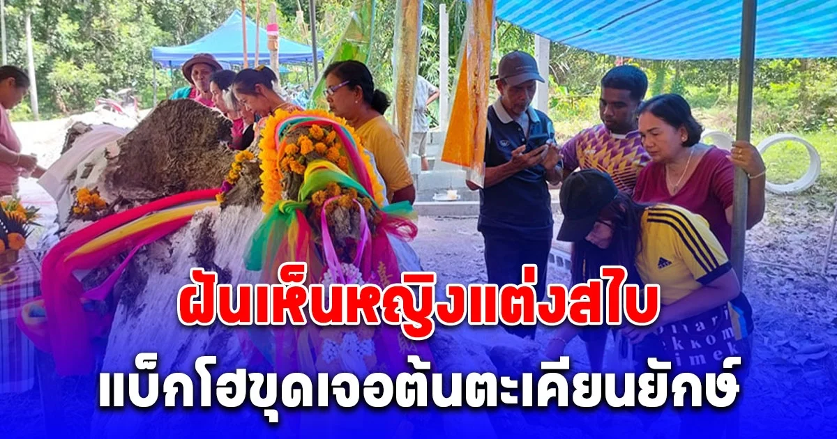 ฝันเห็นหญิงแต่งสไบ ยืนในน้ำสวนยางพารา แบ็กโฮขุดเจอจังๆต้นตะเคียนยักษ์