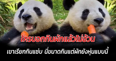 ใครบอกกินผักแล้วไม่อ้วน เขาเรียกกินแซ่บ นี่ขนาดกินแต่ผักยังหุ่นแบบนี้