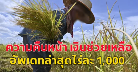 ความคืบหน้า เงินช่วยเหลือเกษตรกร 67 68 ล่าสุด