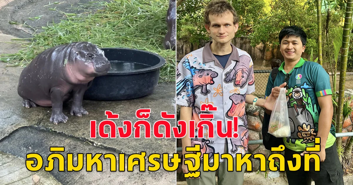 ดังใหญ่แล้ว วิทาลิก ผู้สร้างเหรียญETH อภิมหาเศรษฐีคริปโต หิ้วถุงแกงฝากพี่เลี้ยง มาดูหมูเด้ง