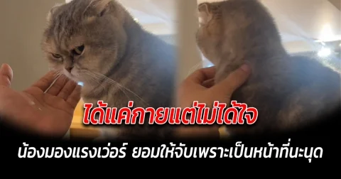 ได้แค่กายแต่ไม่ได้ใจ น้องมองแรงเว่อร์ ยอมให้จับเพราะเป็นหน้าที่นะนุด