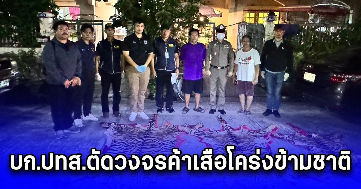 บก.ปทส.ตัดวงจรค้าเสือโคร่งข้ามชาติ