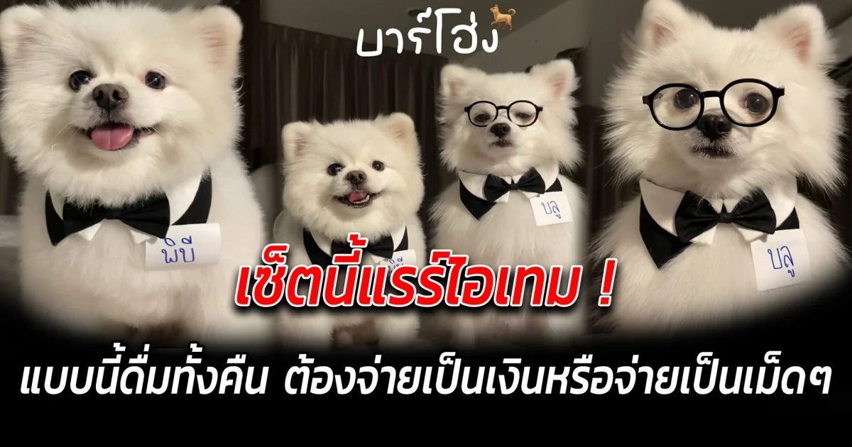 เซ็ตนี้แรร์ไอเทม แบบนี้ดื่มทั้งคืน ต้องจ่ายเป็นเงินหรือจ่ายเป็นเม็ดๆ