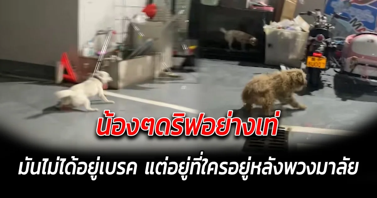 น้องๆดริฟอย่างเท่ มันไม่ได้อยู่เบรค แต่อยู่ที่ใครอยู่หลังพวงมาลัย