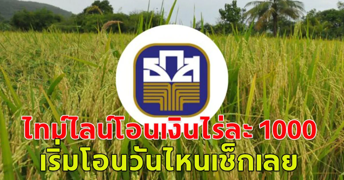 ไทม์ไลน์โอนเงินไร่ละ 1,000 เริ่มโอนวันไหนเช็กเลย