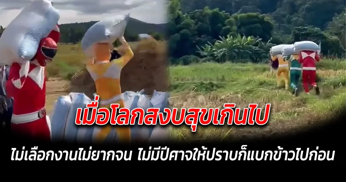 เมื่อโลกสงบสุขเกินไป ไม่เลือกงานไม่ยากจน ไม่มีปีศาจให้ปราบก็แบกข้าวไปก่อน