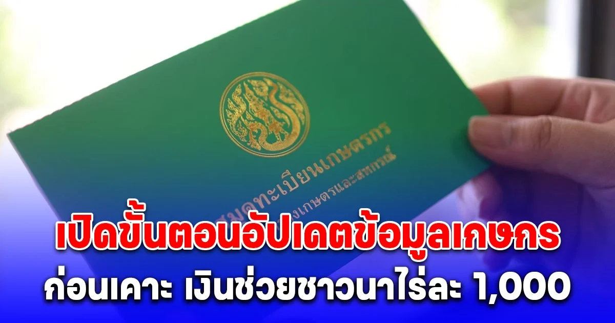 เปิดขั้นตอนอัปเดตข้อมูลเกษกร-ขึ้นทะเบียนเกษตรรายใหม่ ก่อนเคาะ เงินช่วยชาวนาไร่ละ 1,000