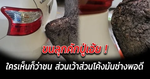 ขนลุกคักปู่เอ้ย ใครเห็นก็ว่าชน ส่วนเว้าส่วนโค้งมันช่างพอดี