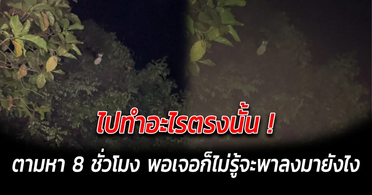 ไปทำอะไรตรงนั้น ตามหา 8 ชั่วโมง พอเจอก็ไม่รู้จะพาลงมายังไง