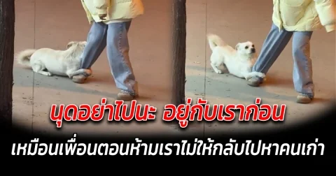 นุดอย่าไปนะ อยู่กับเราก่อน หรือไม่ก็พาเราไปอยู่ด้วยเลย
