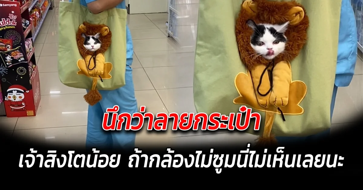 นึกว่าลายกระเป๋า เจ้าสิงโตน้อย ถ้ากล้องไม่ซูมนี่ไม่เห็นเลยนะ