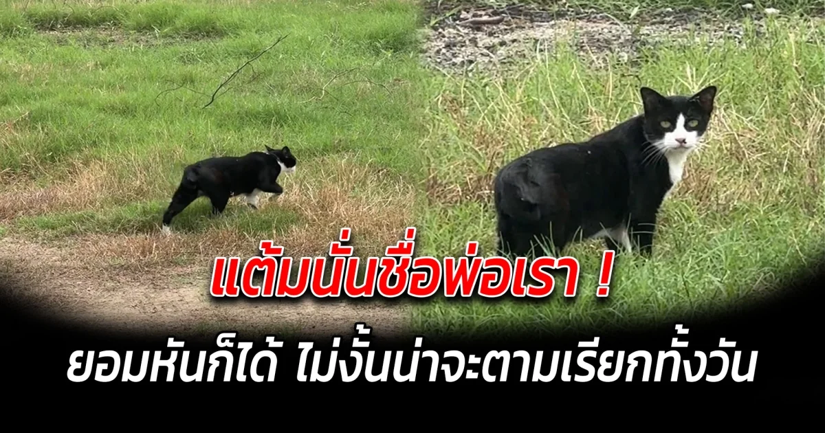 แต้มนั่นชื่อพ่อเรา ยอมหันก็ได้ ไม่งั้นน่าจะตามเรียกทั้งวัน