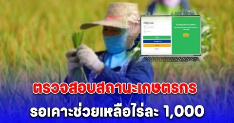 ตรวจสอบสถานะเกษตรกร รอเคาะรับเงินช่วยชาวนาไร่ละ 1,000 บาท