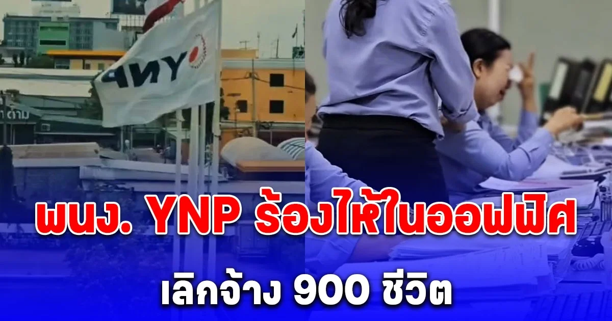 พนง. YNP ร้องไห้ในออฟฟิศ เลิกจ้าง 900 ชีวิต ตกงานรับปีใหม่