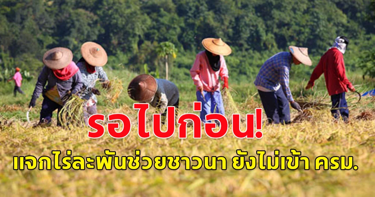 รอไปก่อน! แจกเงินหมื่นเฟส 2 ผู้สูงอายุ  แจกไร่ละพันช่วยชาวนา ยังไม่เข้า ครม.