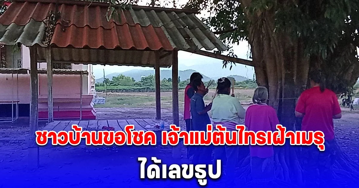 ชาวบ้านขอโชค เจ้าแม่ต้นไทรเฝ้าเมรุ อายุเกือบร้อยปี ได้เลขธูป