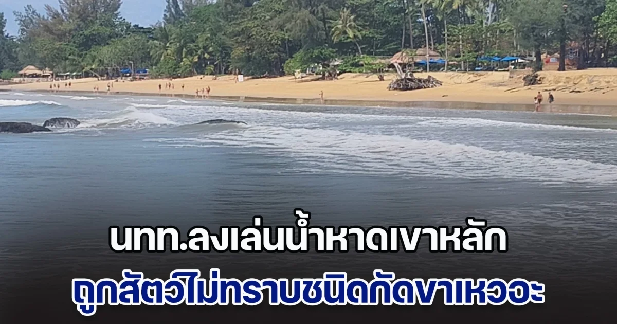 ผวา! นักท่องเที่ยวลงเล่นน้ำหาดเขาหลัก ถูกสัตว์ไม่ทราบชนิดกัดขาเหวอะ