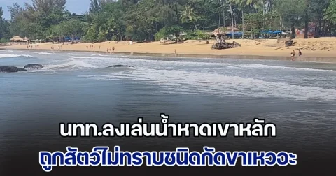 ผวา! นักท่องเที่ยวลงเล่นน้ำหาดเขาหลัก ถูกสัตว์ไม่ทราบชนิดกัดขาเหวอะ