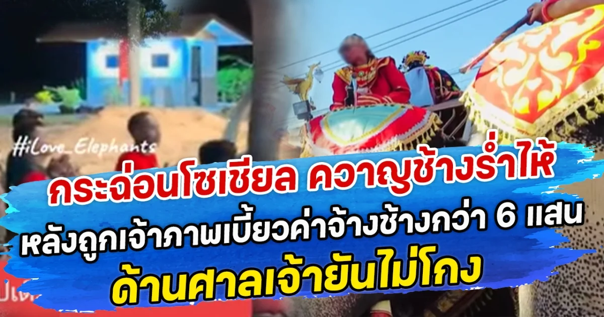 กระฉ่อนโซเชียล ควาญช้างร่ำไห้ หลังถูกเจ้าภาพเบี้ยวค่าจ้างช้างกว่า 6 แสน ด้านศาลเจ้ายันไม่โกง