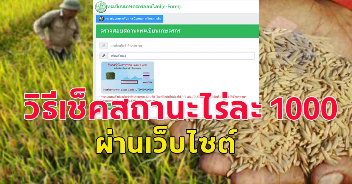 วิธีเช็คสถานะไร่ละ 1000  แบบออนไลน์ หลังมติ ครม.ไฟเขียว