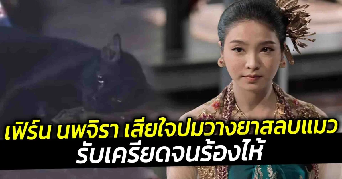เฟิร์น นพจิรา เสียใจปมวางยาสลบแมว