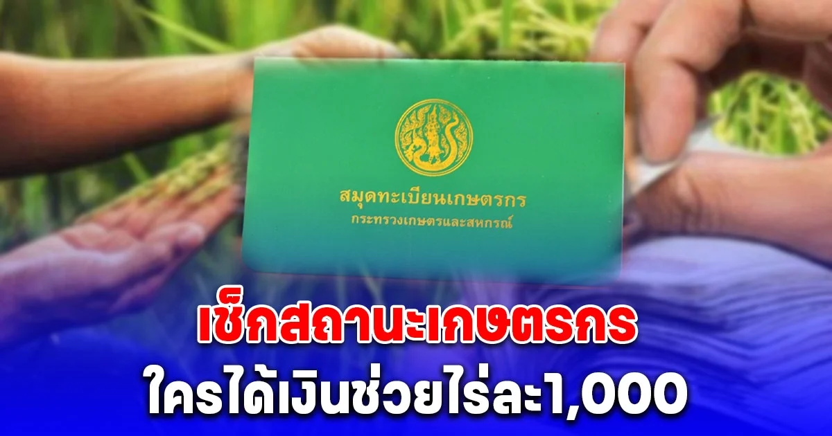 ตรวจสอบสิทธิสถานะเกษตรกร เงินช่วยไร่ละ1,000 ใครได้บ้าง!