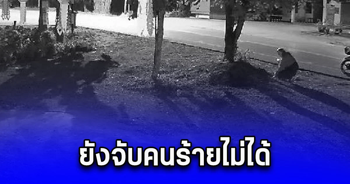 คนร้ายวางไปป์บอม 2 ครั้ง 3 ลูก บ้านดาบตำรวจหญิงยังจับคนร้ายไม่ได้