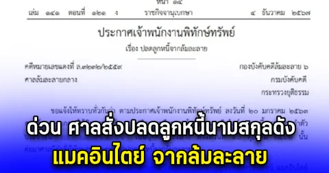 ด่วน ศาลสั่งปลดลูกหนี้นามสกุลดัง แมคอินไตย์ จากล้มละลาย