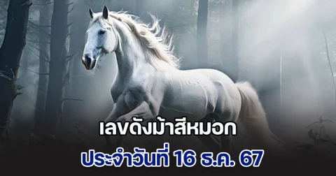 ควบมาไวมาก เลขดังม้าสีหมอก ประจำวันที่ 16 ธ.ค. 67