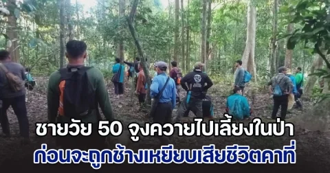 ชายวัย 50 จูงควายไปปล่อยเลี้ยงในป่า ก่อนจะถูกช้างเหยียบเสียชีวิตคาที่