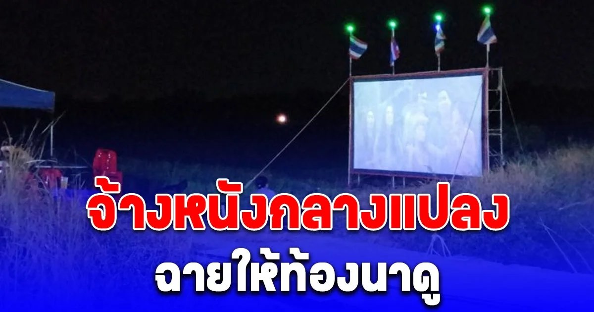 หนุ่ม จ้างหนังกลางแปลง ฉายให้ท้องนาดู หลังเกี่ยวข้าวได้ 33 ตัน