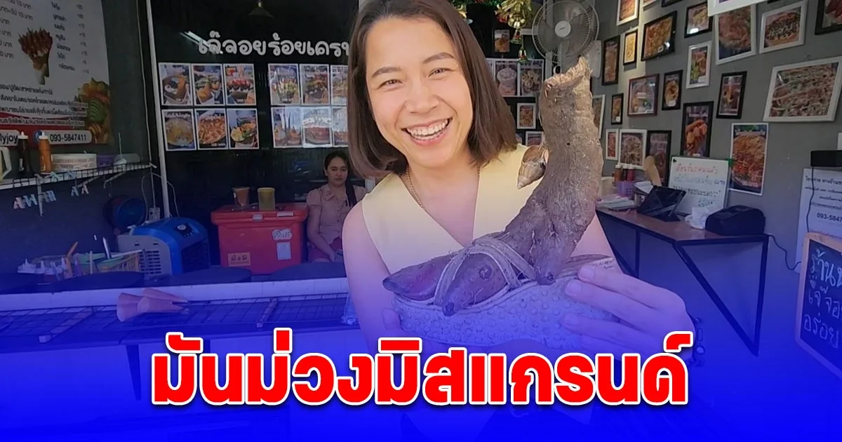 สาวปลูกมันม่วงไว้กินที่บ้าน ดันไปโตในรองเท้าเก่า กลายเป็นมันม่วงมิสแกรนด์