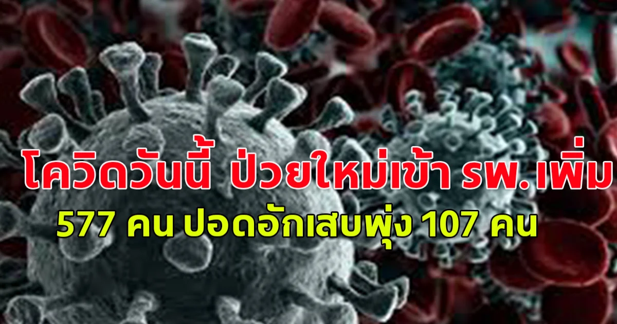 โควิดวันนี้ ป่วยใหม่เข้ารพ.เพิ่ม 577 คน ปอดอักเสบพุ่ง 107 คน