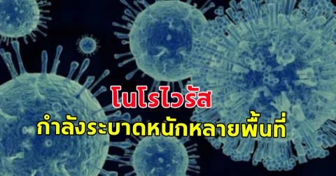 สื่อนอกรายงานว่า โนโรไวรัส กำลังระบาด หลายพื้นที่ในจีน ซึ่งเป็นไวรัสที่ทนต่อเจลแอลกอฮอล์ (ข่าวต่างประเทศ)