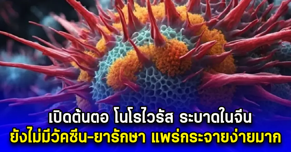 เปิดต้นตอ โนโรไวรัส ระบาดในจีน ยังไม่มีวัคซีน-ยารักษา แพร่กระจายง่ายมาก
