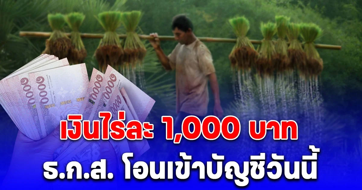 เงินไร่ละ 1,000 บาท ธ.ก.ส. โอนเข้าบัญชีวันนี้ ใครได้บ้าง