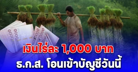 เงินไร่ละ 1,000 บาท ธ.ก.ส. โอนเข้าบัญชีวันนี้ ใครได้บ้าง